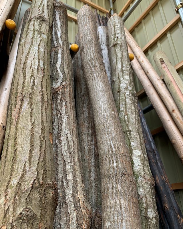 栗丸太10尺3〜4寸入荷 - 有限会社 持田竹材店