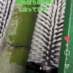 竹洗い機