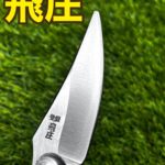 飛庄1