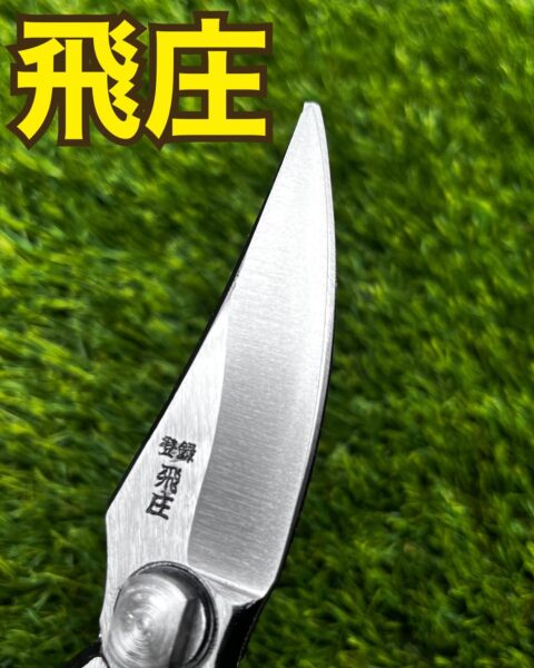 飛庄1
