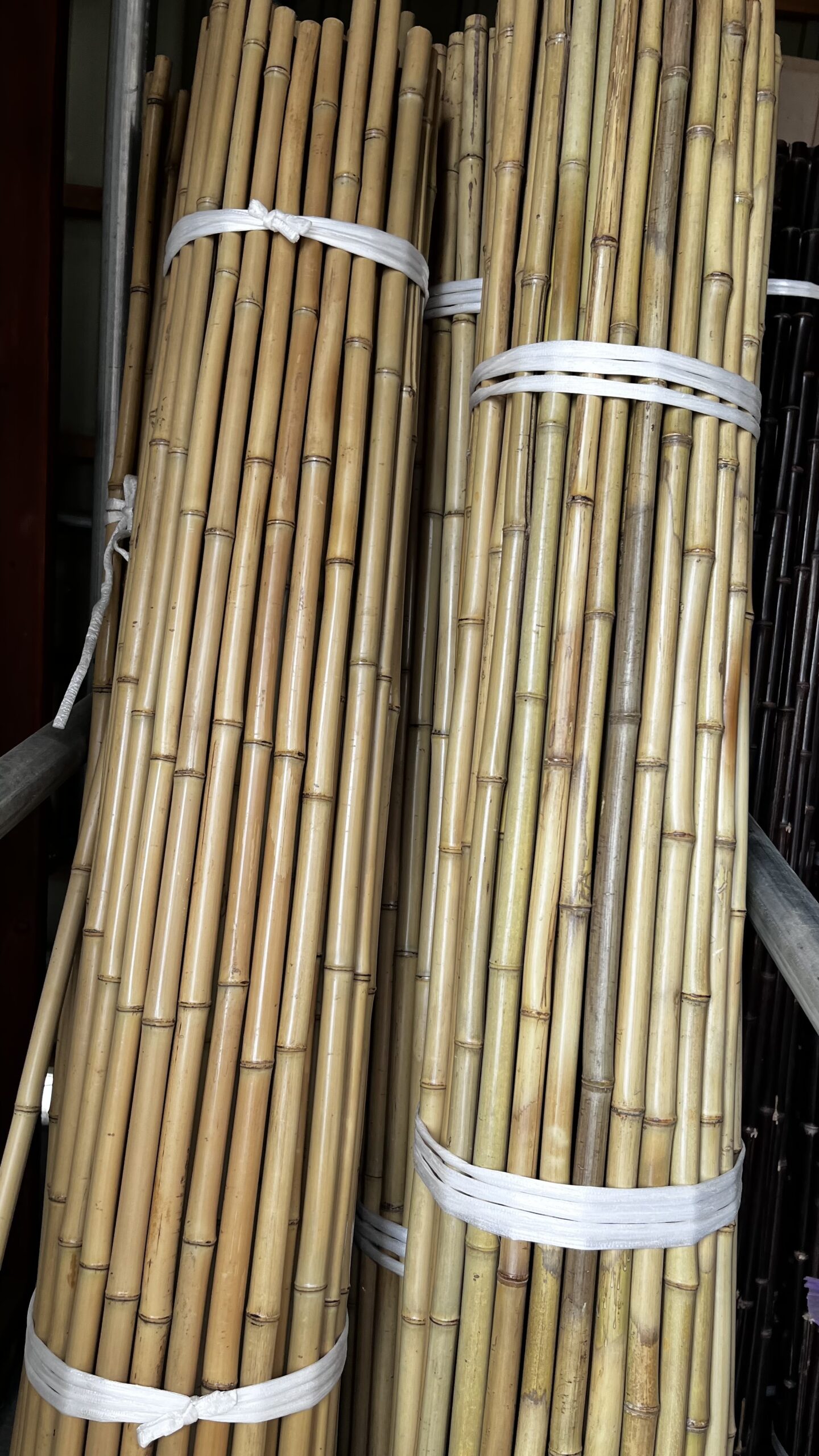 晒竹（さらしだけ）販売！ - 有限会社 持田竹材店