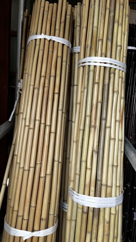 晒竹（さらしだけ）販売！ - 有限会社 持田竹材店
