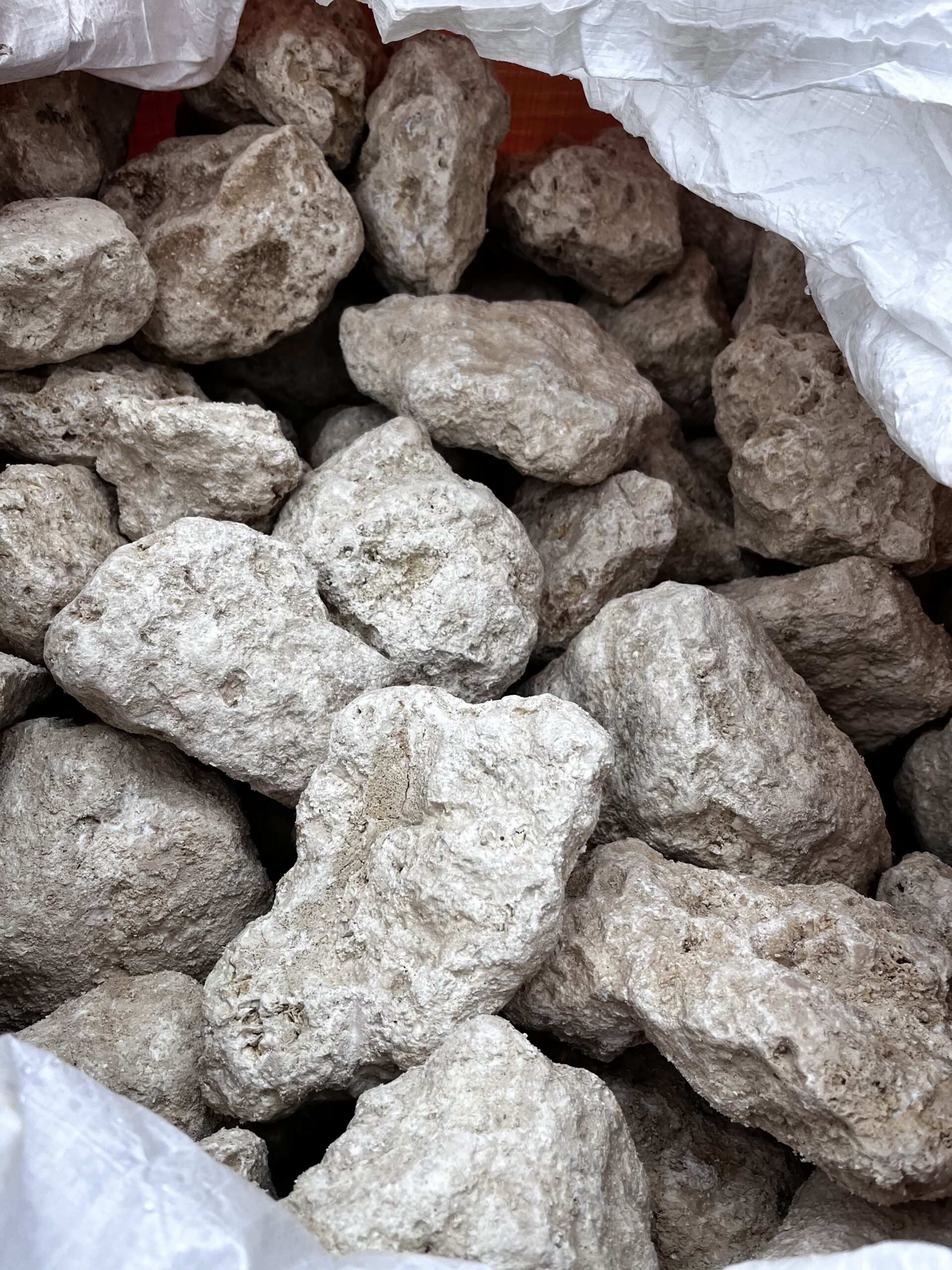 琉球石灰岩の販売 - 有限会社 持田竹材店