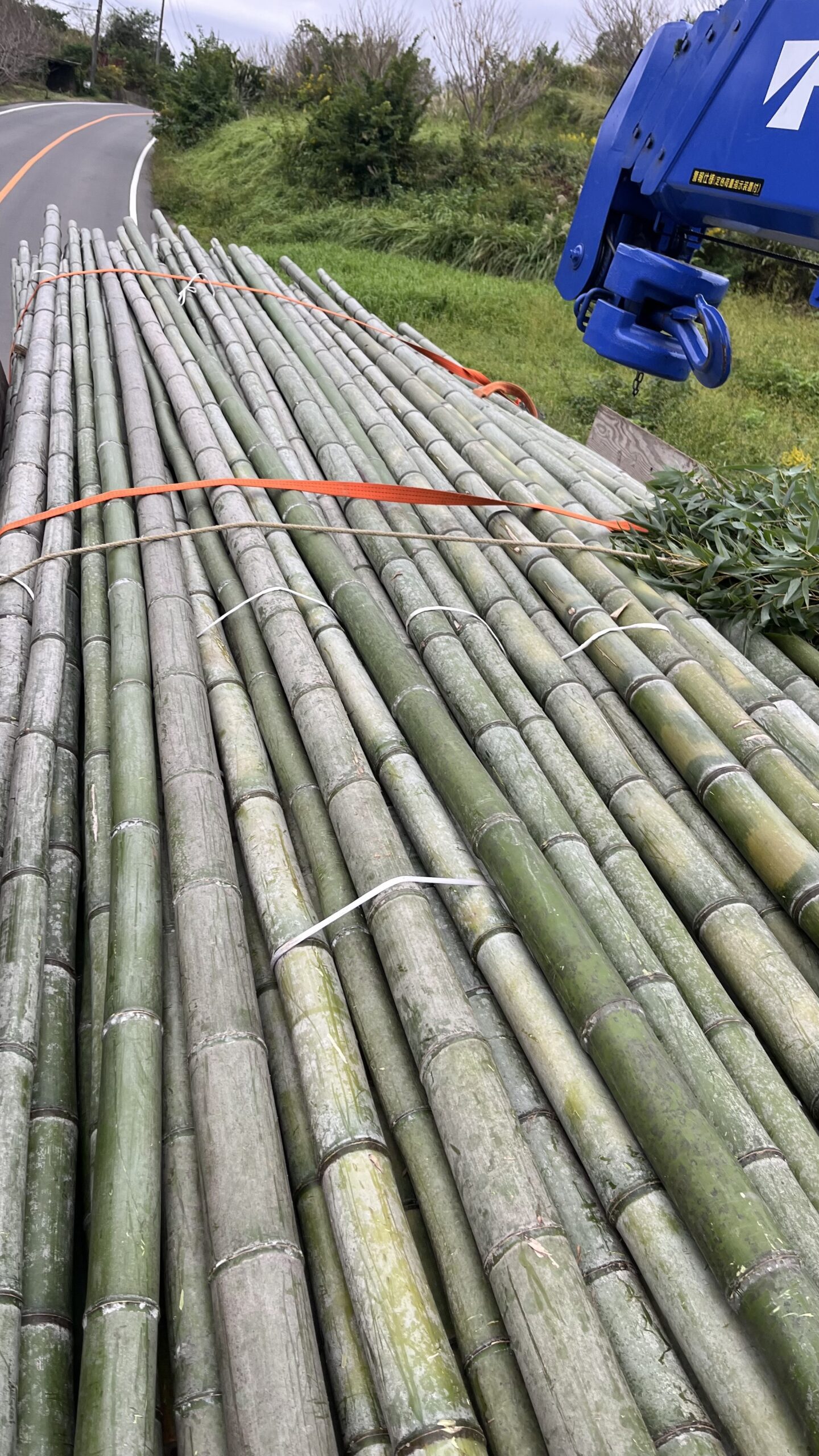 真竹の入荷 - 有限会社 持田竹材店