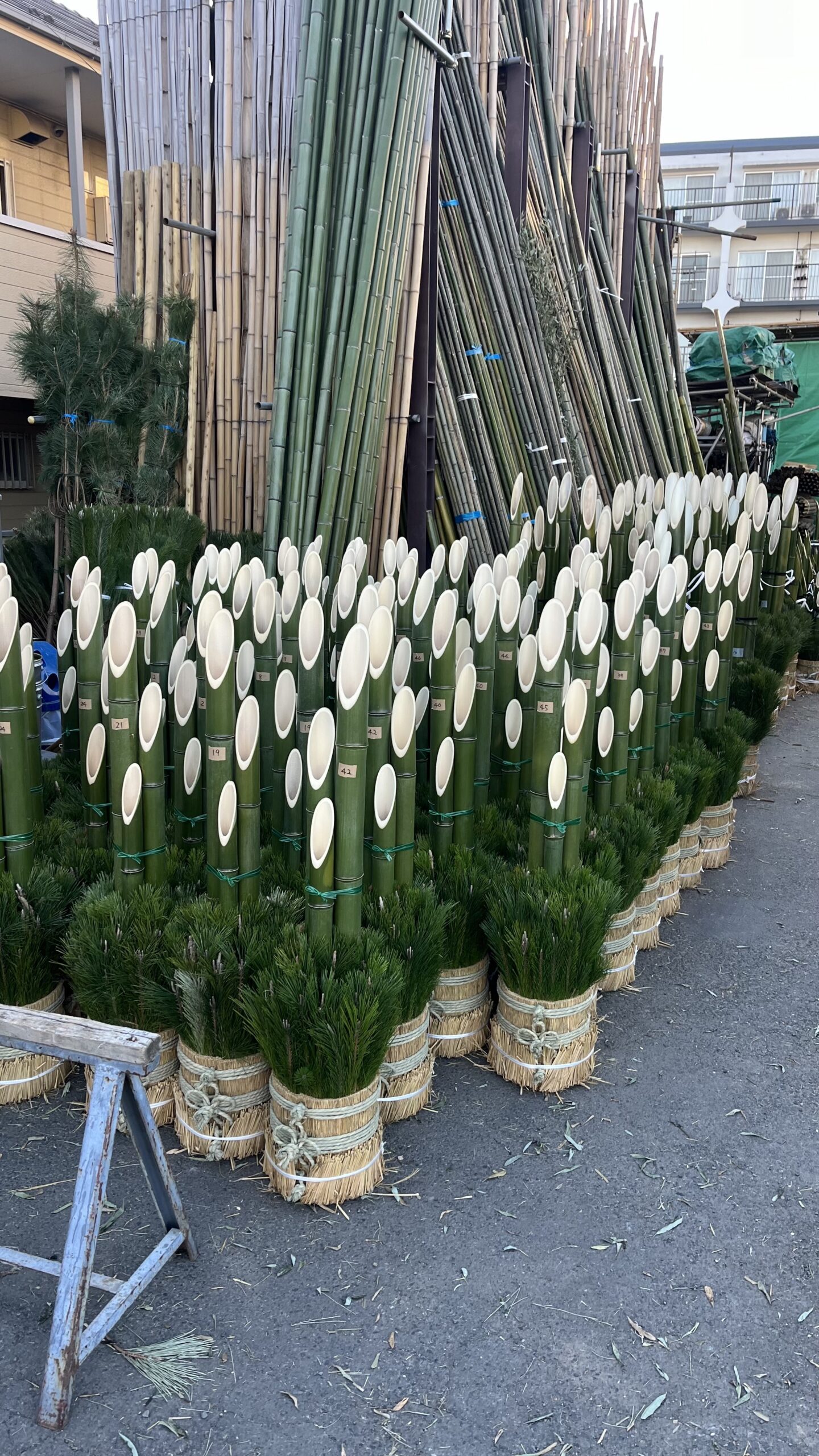 今年も門松の受注開始しました！お早めにどうぞ - 有限会社 持田竹材店